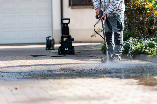 Best Pressure Washing Driveway  in , CO