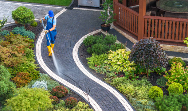 Best Power Washing Near Me  in , CO
